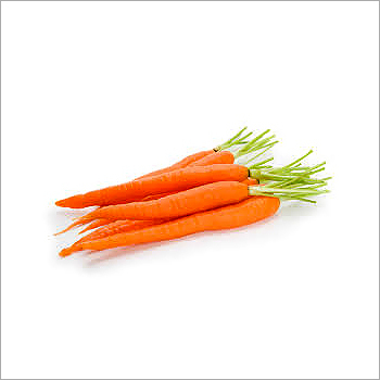 Carrot