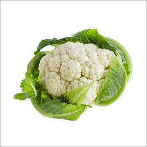 Cauliflower - Variable Diameter, White Color, Green Leaves | High Vitamin C, Low Calorie, Versatile Cooking, Good Fiber Source