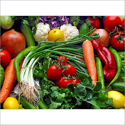 Fresh Vegetables - Variable Dimensions, Various Packaging | Freshness, Variety, Nutrition, Taste, Quality, Healthy, Sustainable, Local