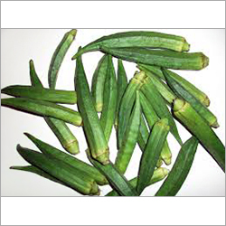 Ladyfinger