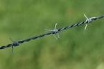 Barbed - Steel Wire, Iron Alloy | Pointed Edges, Cost Effective, Perfect Fencing, Easy to Function, Ideal for Parks and Stadiums