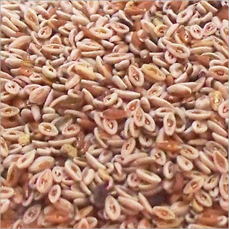Psyllium Husk