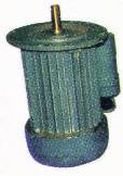 Electric Motor