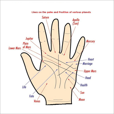 Astrology Palmist Services Astrology Palmist Services