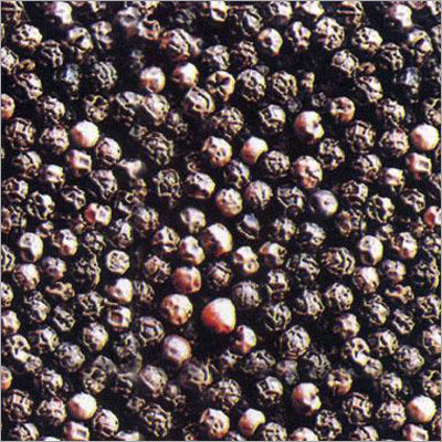 Black Pepper