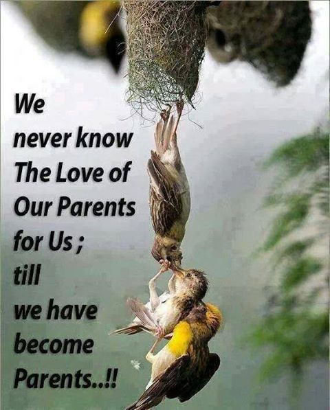 Emotional Poster