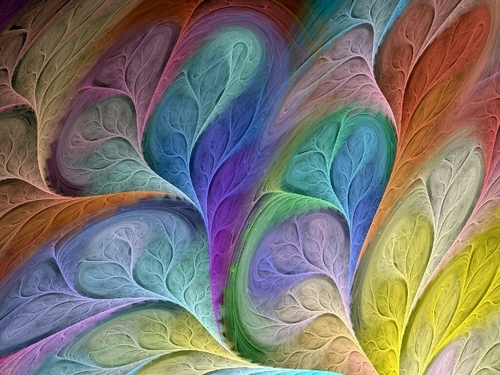 Texture Paint