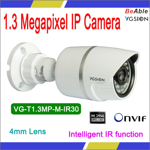 720P indoor & outdoor IR camera