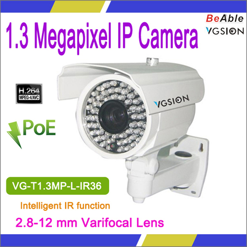 1.3 Megapixel indoor & outdoor IR camera