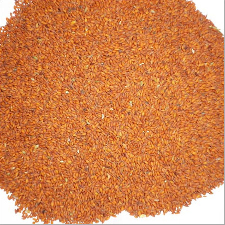Asaliya Seeds