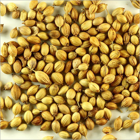 Coriander Seeds