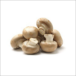 White Mushroom