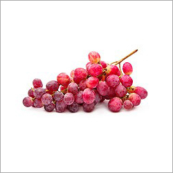 Fresh Red Berry