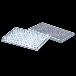 96 Well Plate