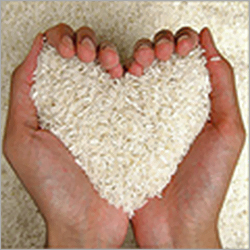 Basmati Raw Rice