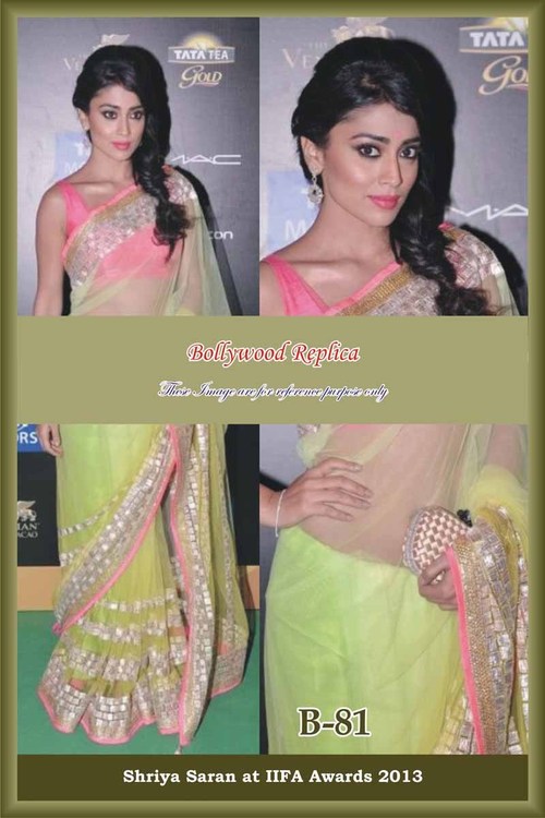Shreya Sharan Bollywood Replica Saree