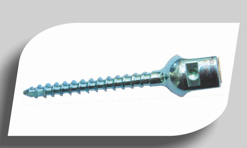 Single Lock Monoaxial Screw