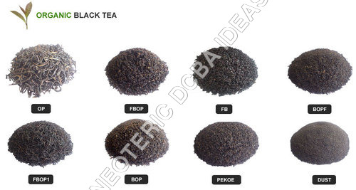 Black Tea