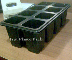 8 Cavity Banana Trays
