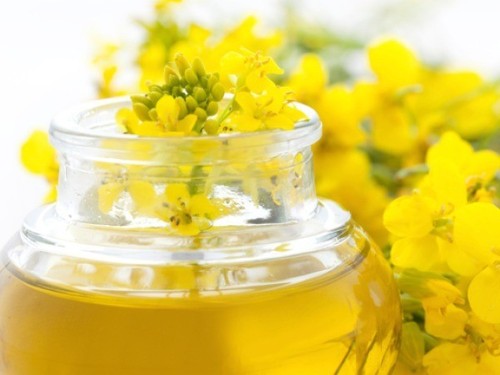 Heart Healthy Canola Oil