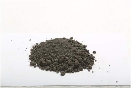 Rhizobium powder