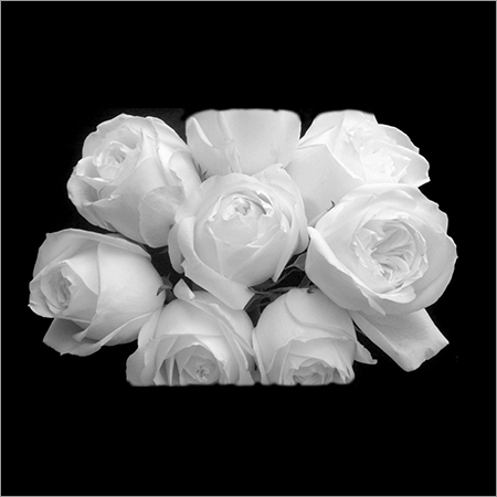 White Rose Bouquet