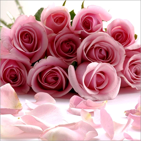Pink Rose Bouquet