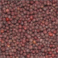 Mustard Seed Job Work