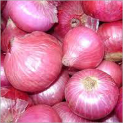 Dehydrated Onion