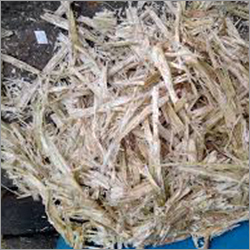 Bagasse