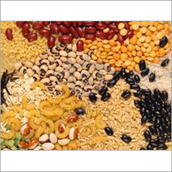 Food Grains