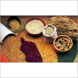Indian Food Grains