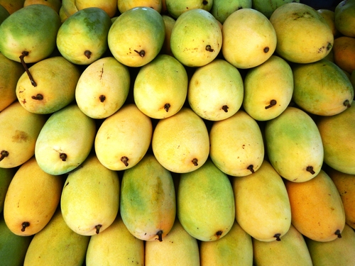 Fresh Mango