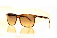 Designer Wayfarer Sunglasses