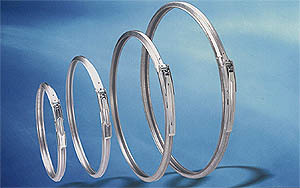 Drum Locking Rings