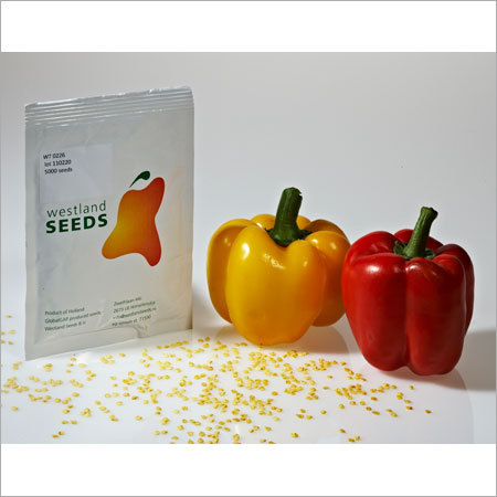 Capsicum Seeds