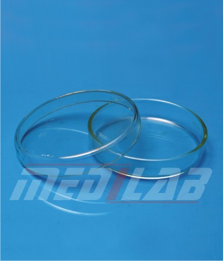 Petri Dishes