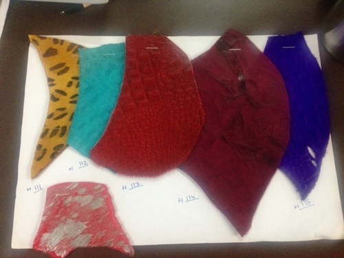 Animal prints on hairon