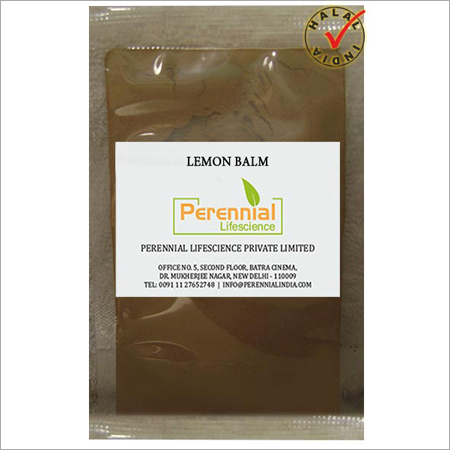 Lemon Balm