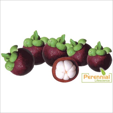 Mangostana