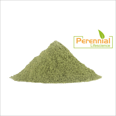 Spinach Extract Powder
