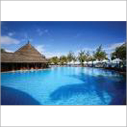Hotel Bookings