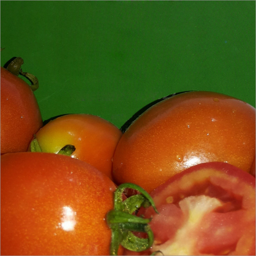 Big Red Tomato