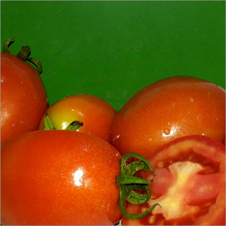 Organic Fresh Tomato