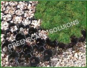Grass Pavers