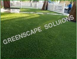 Artificial Grass