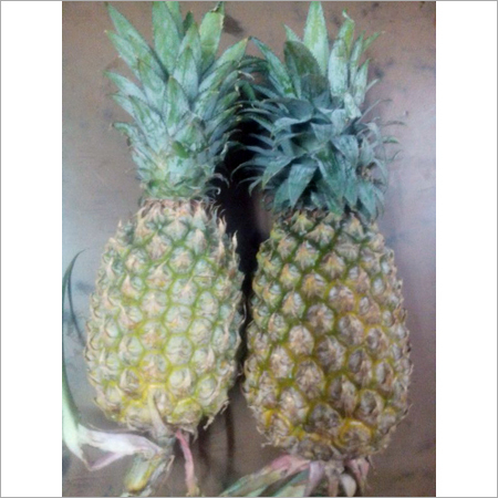 Fresh Pineapples