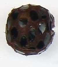 Coloured Leather Beads