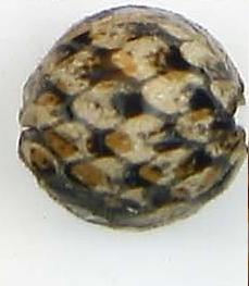 Leather Beads