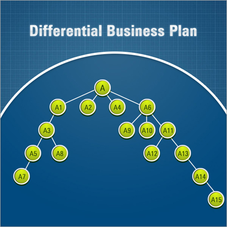 MLM Differential Business Plan